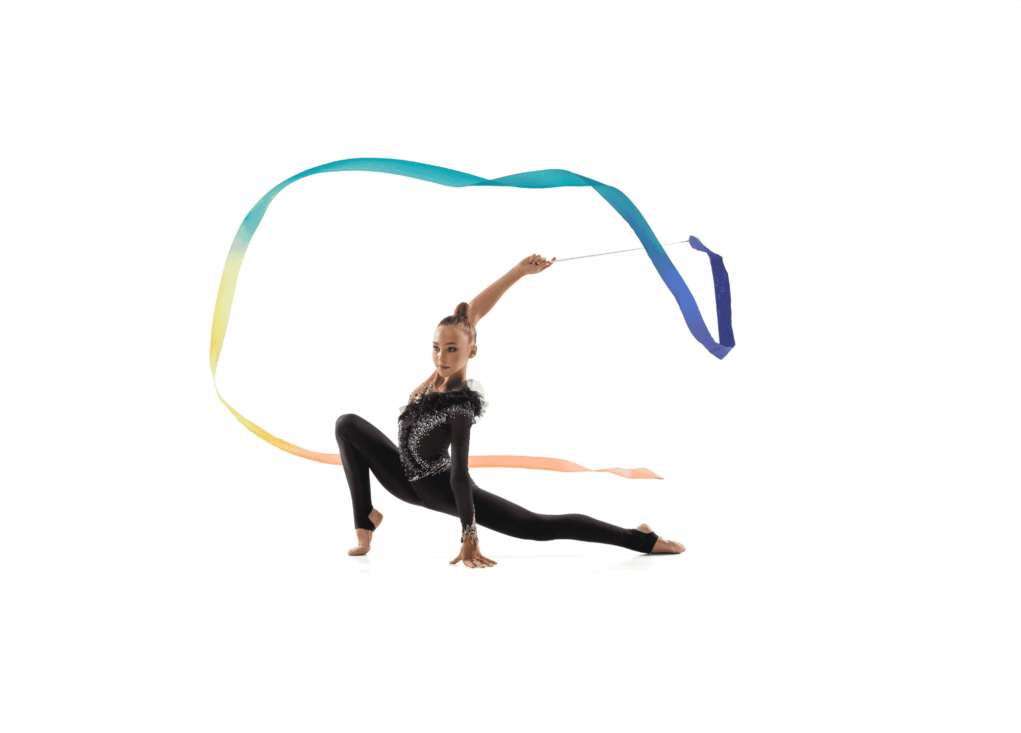 Artus Ginástica, Ginástica