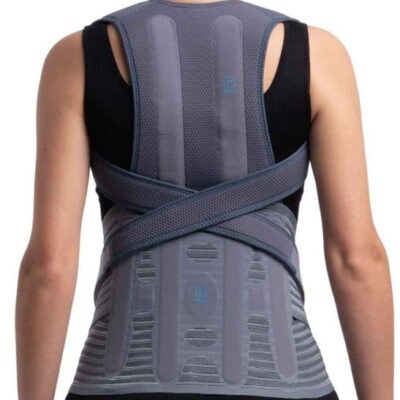 Back for Modular Belt